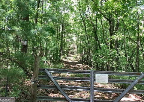 Ellijay, GA Wooded Land