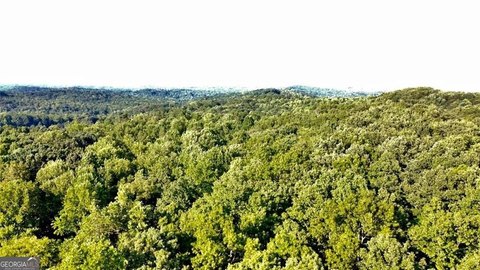 Residential Land in Dawsonville, GA