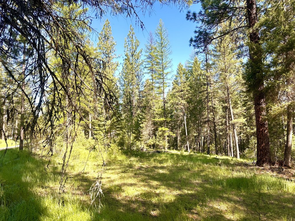 Picture 13