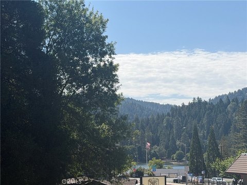 Flag Lot Commercial Land Parcel