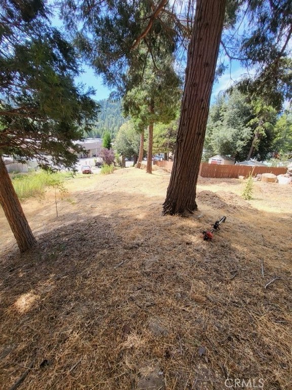 Picture 10
