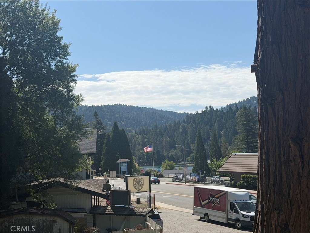 Picture 3