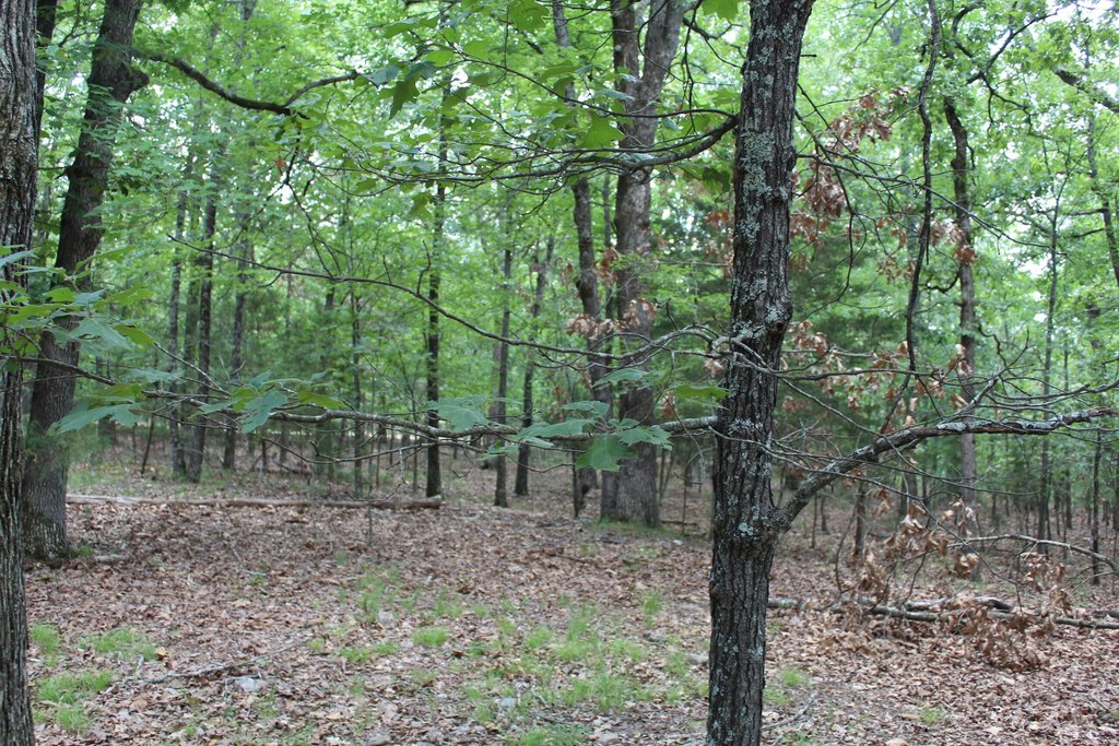 Picture 7