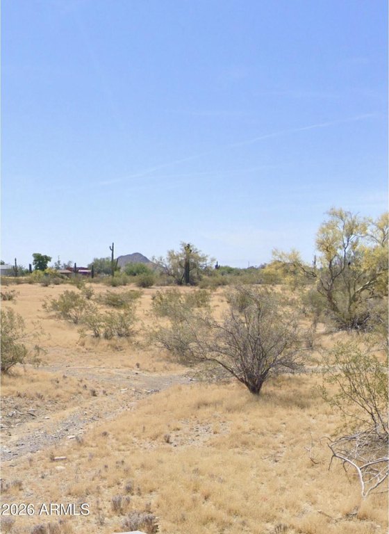 Picture 4