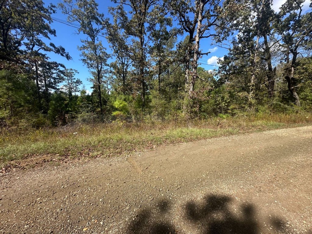 Picture 2