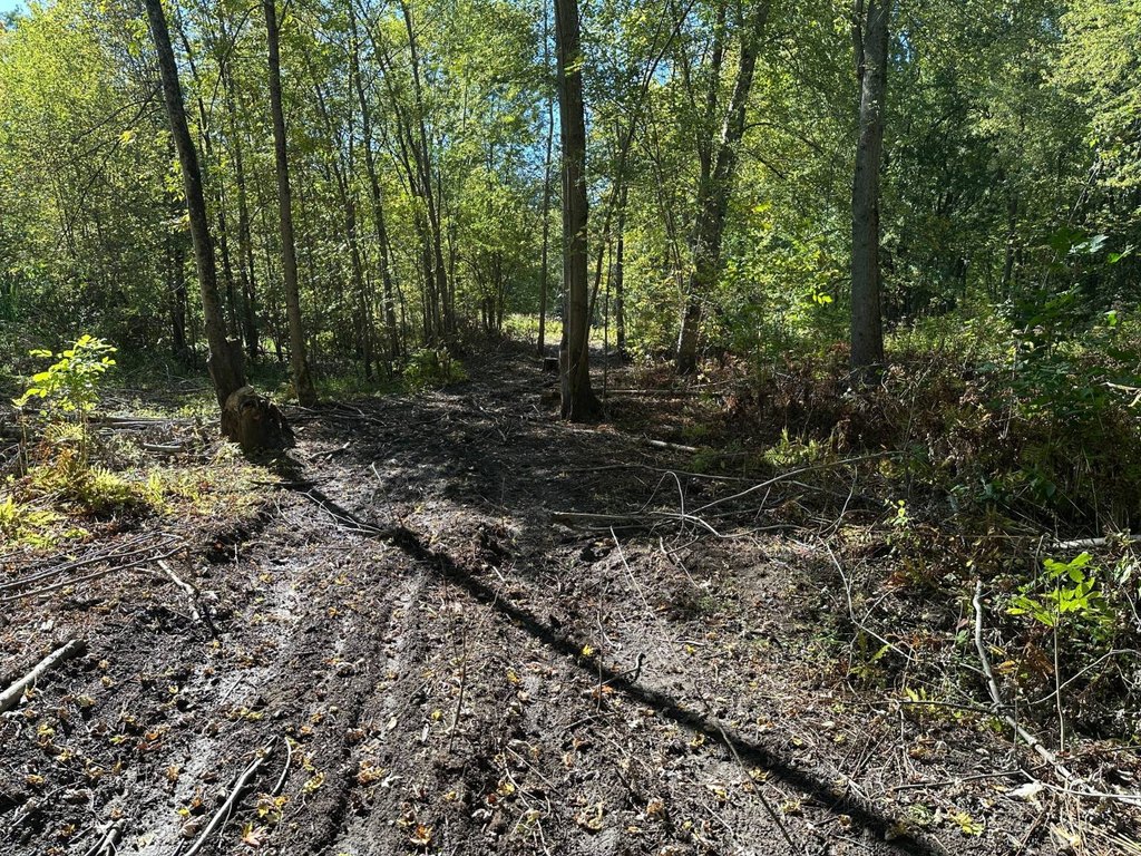 Picture 37
