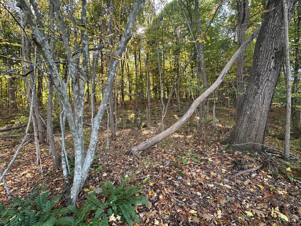 Picture 27
