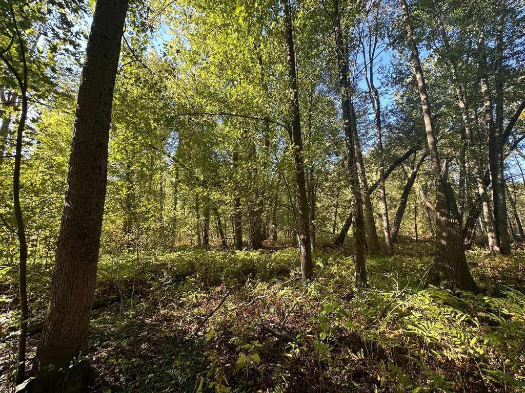 Picture 39