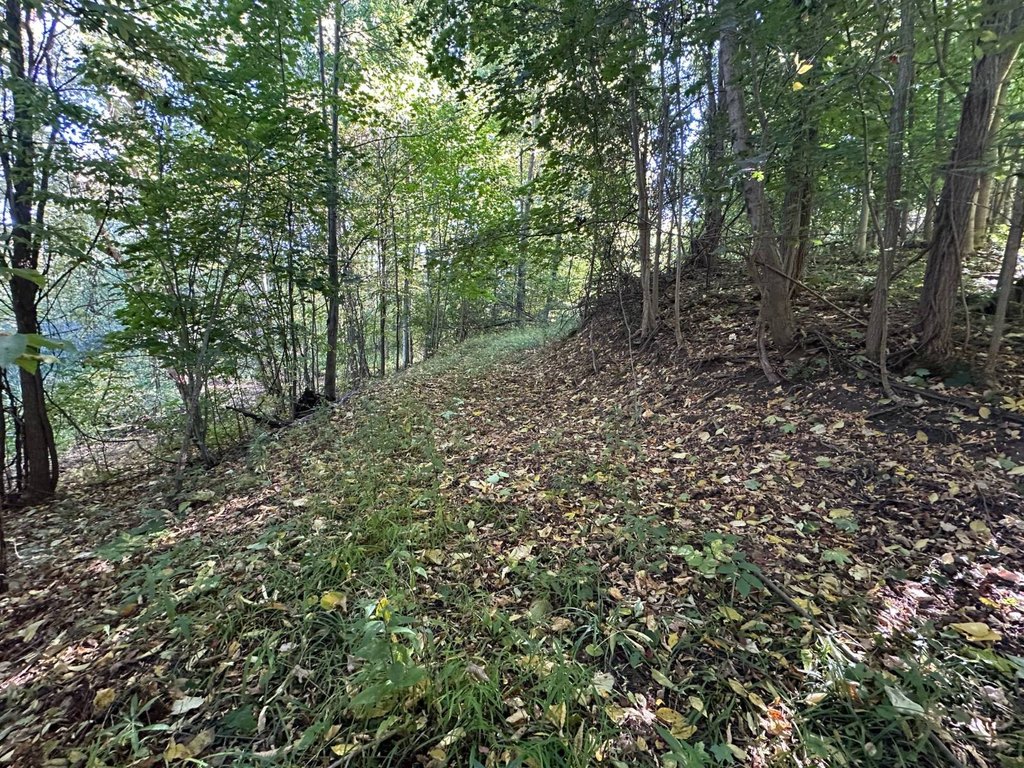 Picture 38