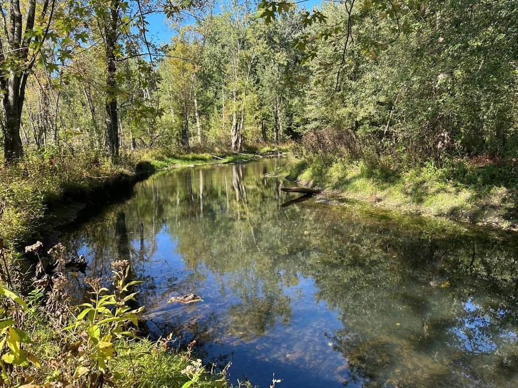 Picture 29