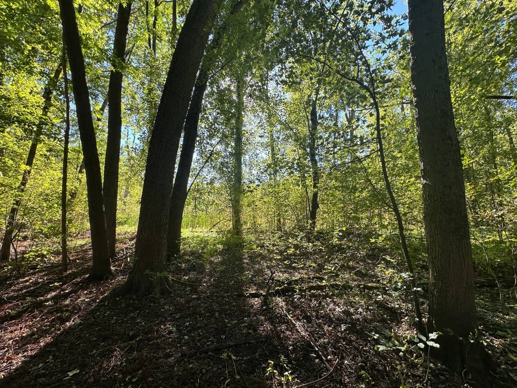 Picture 28