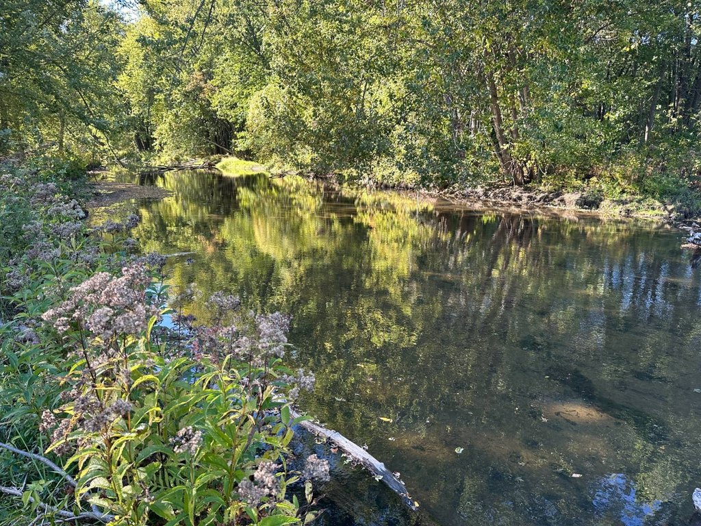 Picture 23