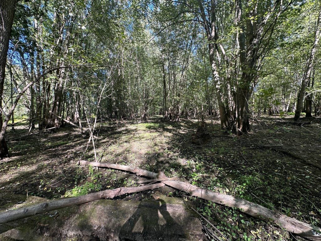Picture 36