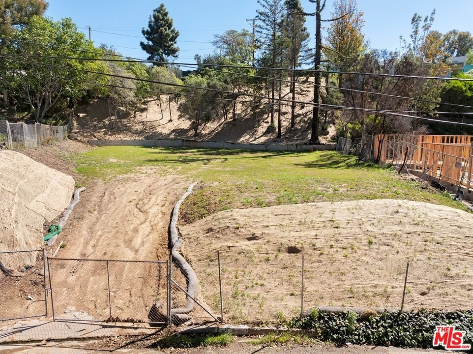 Picture 12
