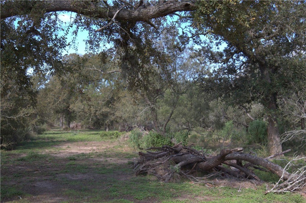 Picture 6