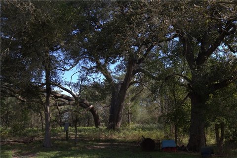 Acreage, FAYETTEVILLE, TX