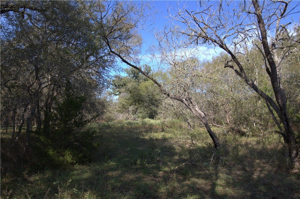 Picture 10
