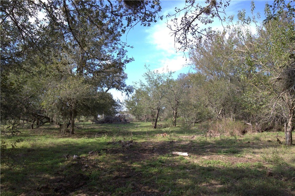 Picture 12