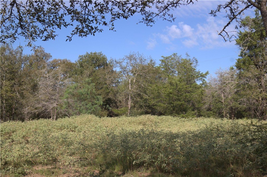 Picture 7