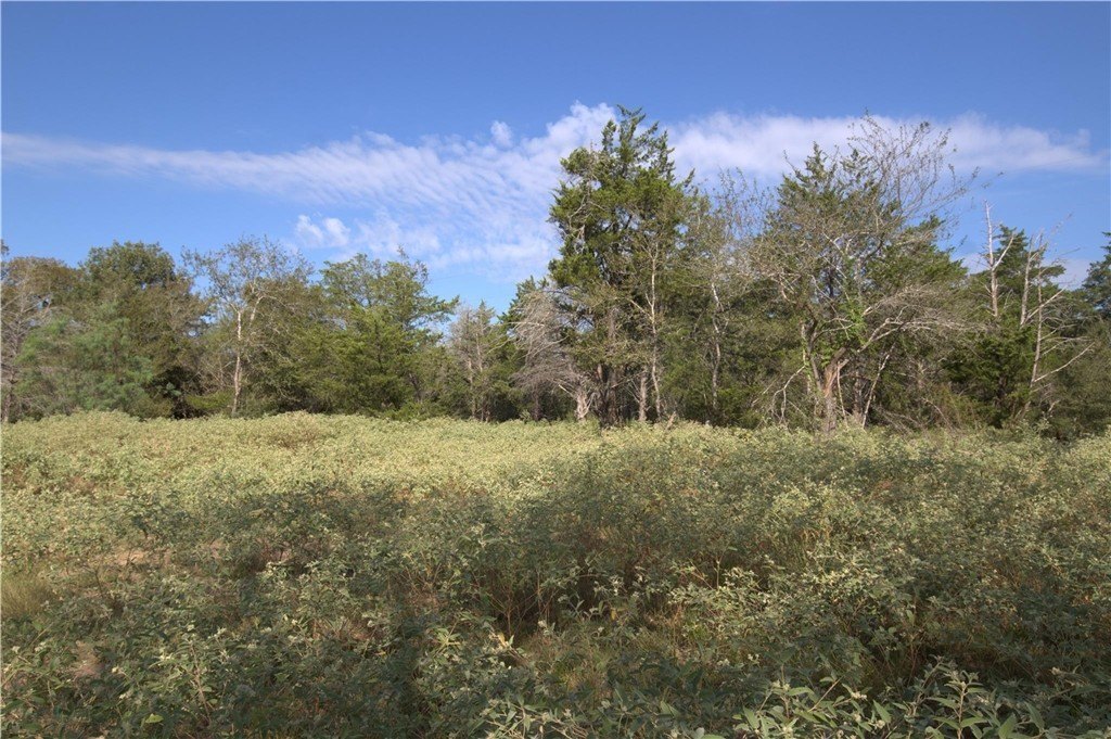 Picture 9