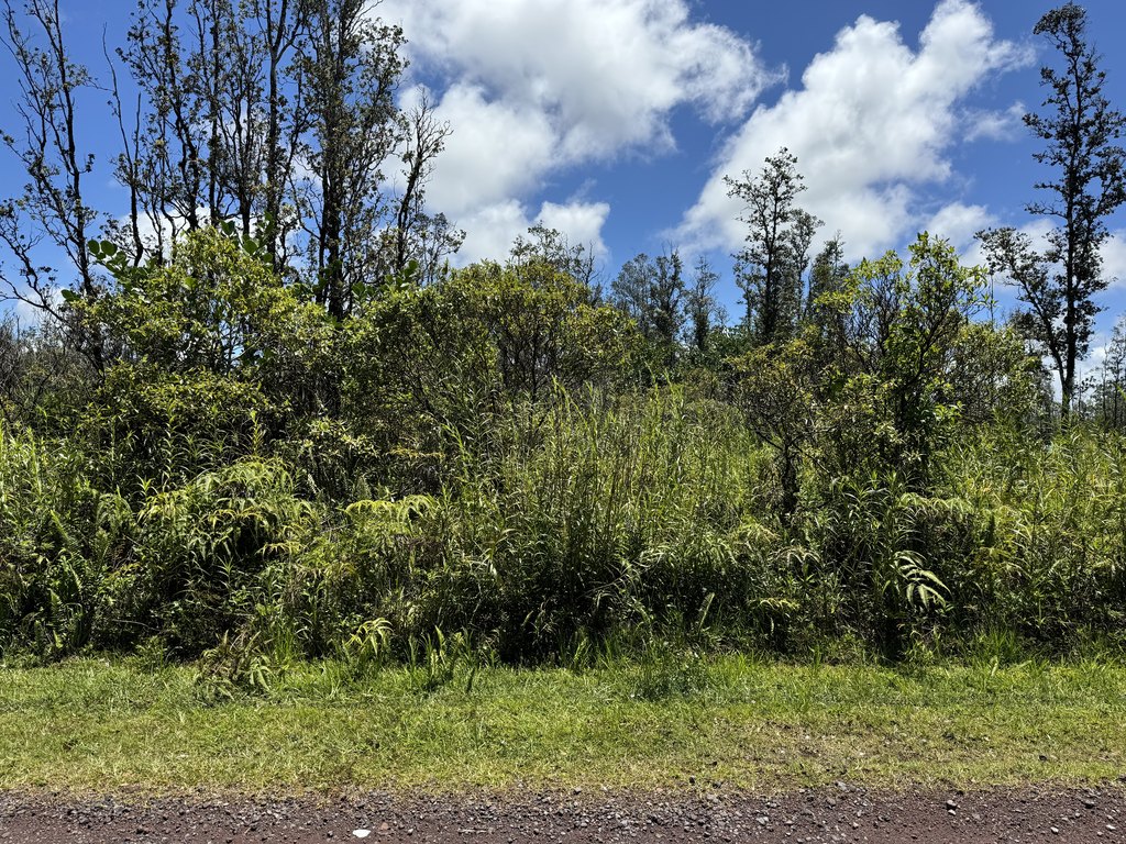 Picture 2