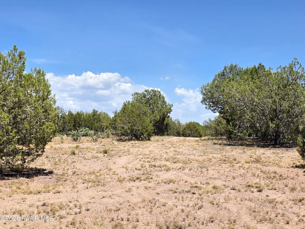 Picture 25