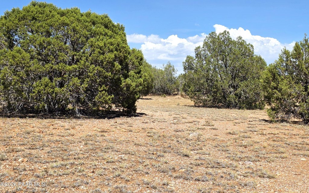 Picture 32