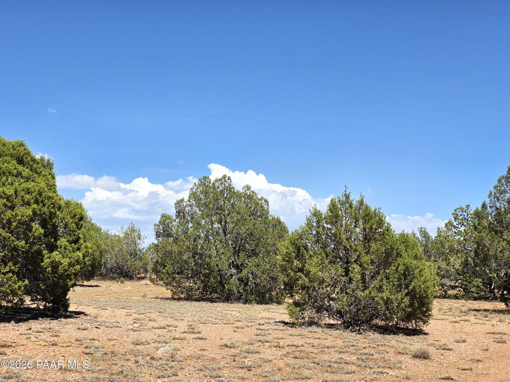 Picture 33