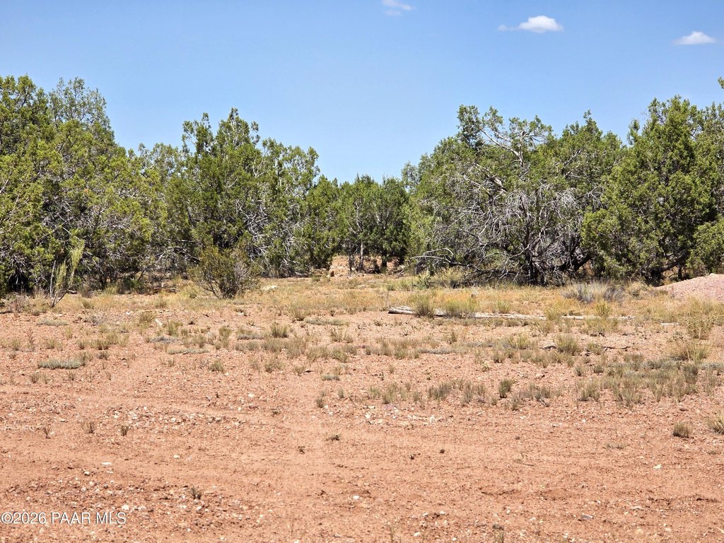 Picture 20