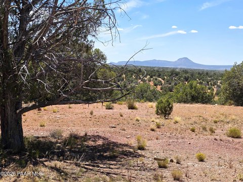 LAND - Ash Fork, AZ