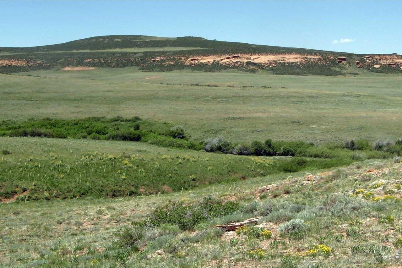 35 Acres in Sand Creek