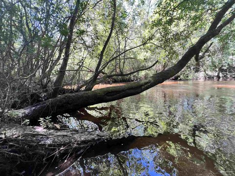 Milton Land with Creek Access
