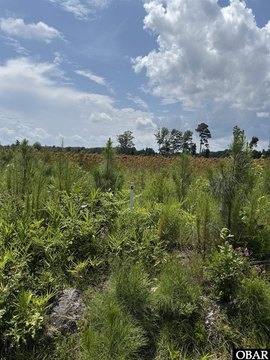 Acre Lot in New Hope