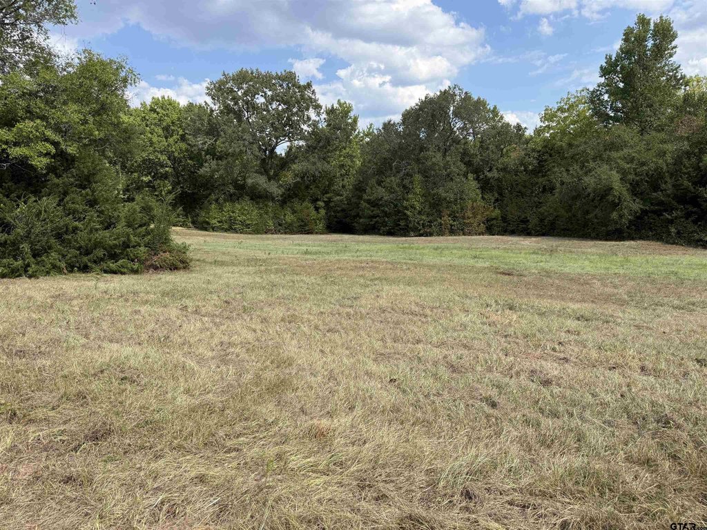 Picture 21