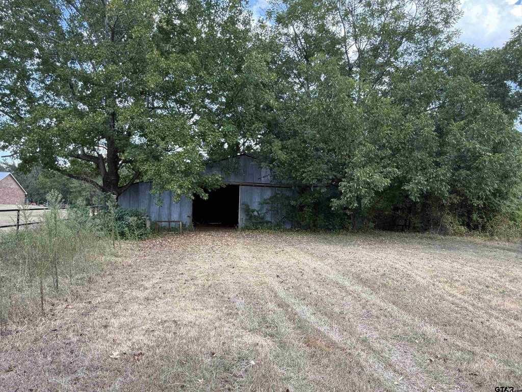 Picture 5