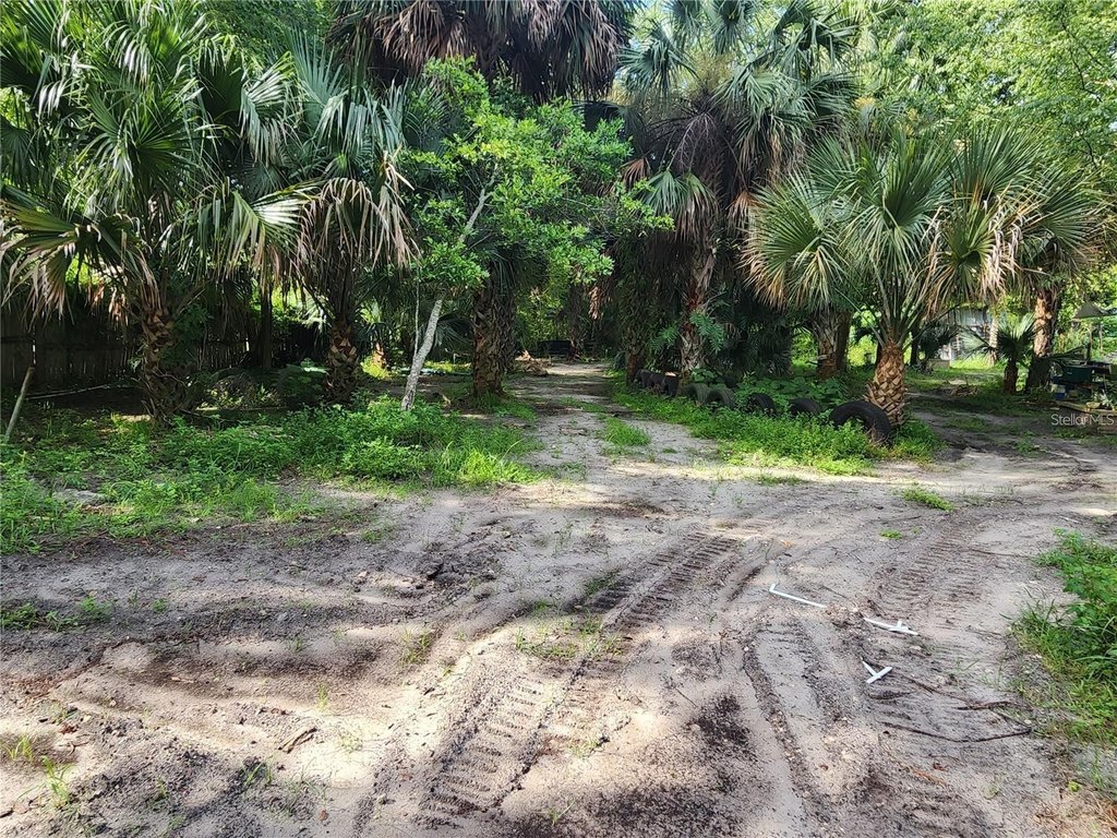 Picture 3