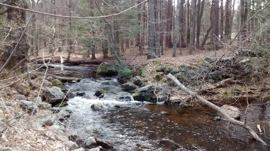 Picture 12