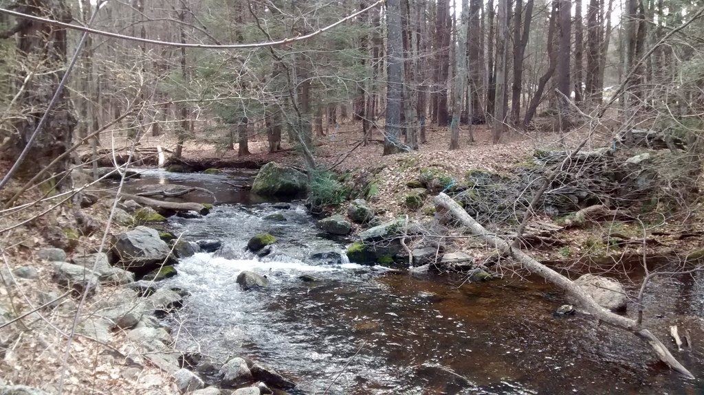 Picture 12