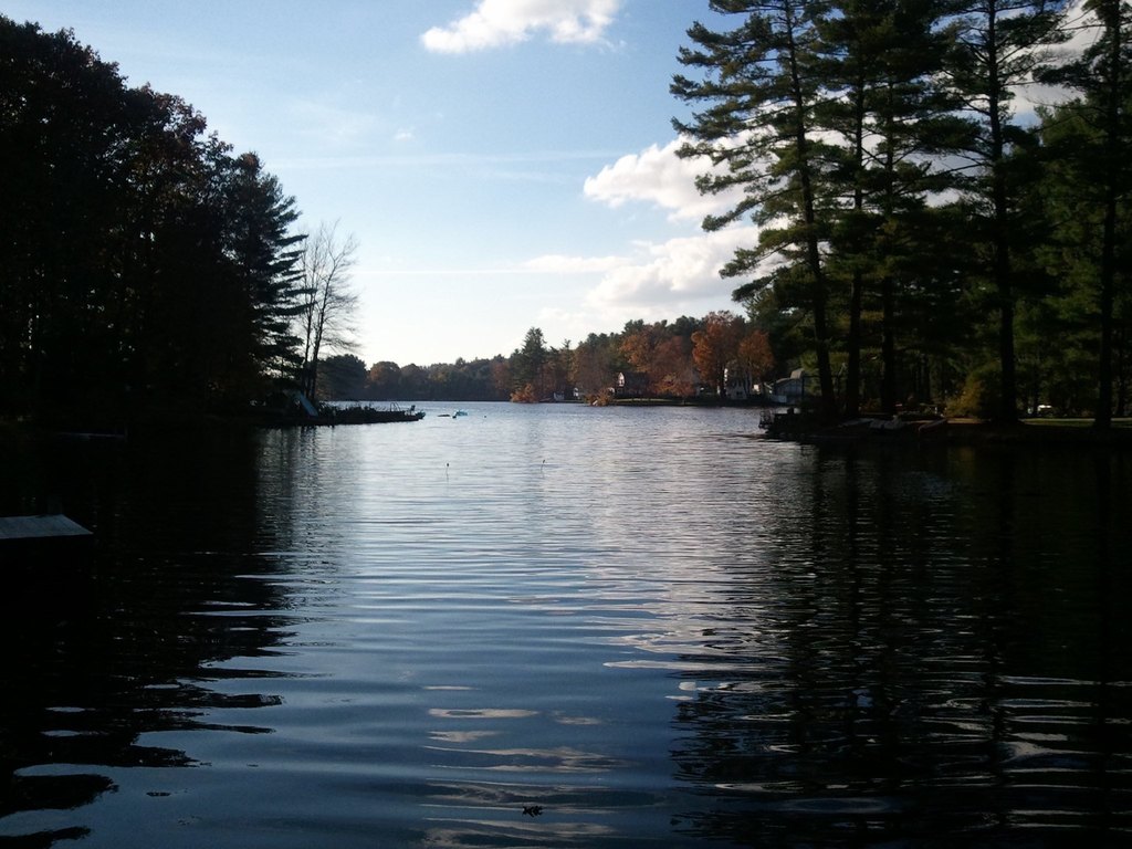 Picture 3