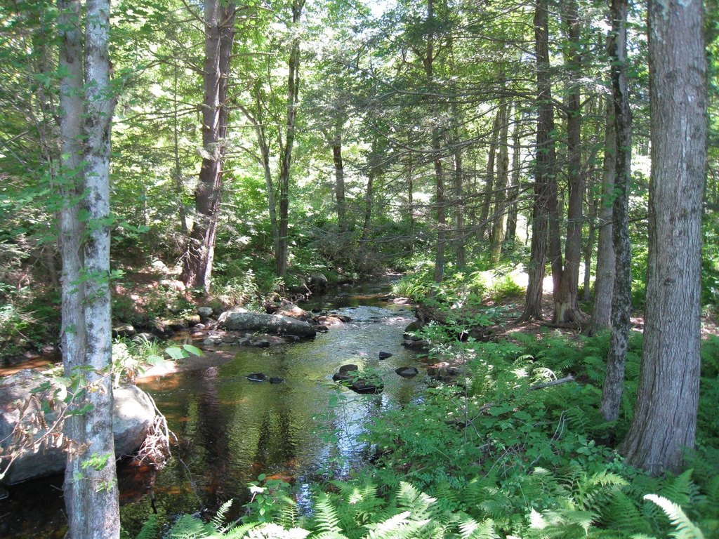 Picture 10