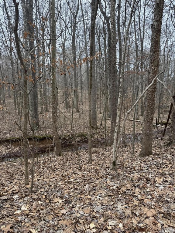 Picture 8