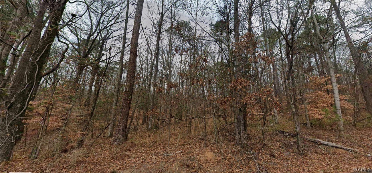 Northport, AL Land For Sale