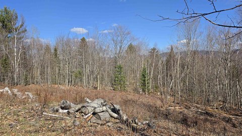 Cates Hill Land Opportunity