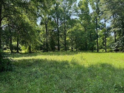 Residential Land in Jasper, TX