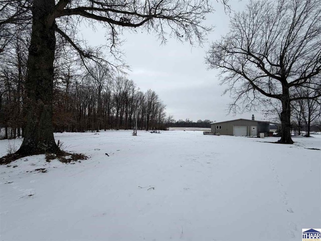 Picture 4