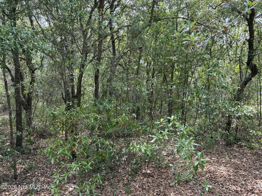Picture 3
