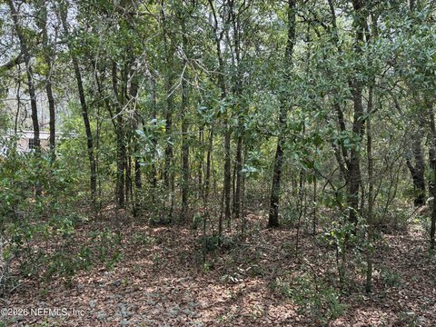 Wooded Lot in Interlachen, FL