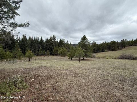 LAND - St. Maries, ID