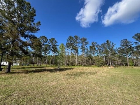 Residential Land in Lakeside at Longwood