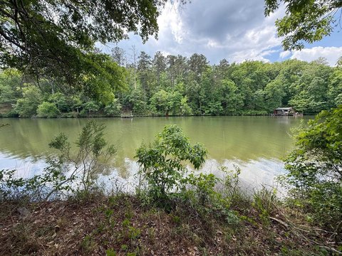 Lake Sinclair Waterfront Lot